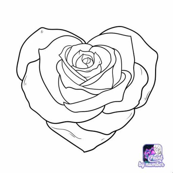 Meet your Posher, Leon - Picture 1 of 1